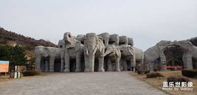 北京八达岭野生动物园