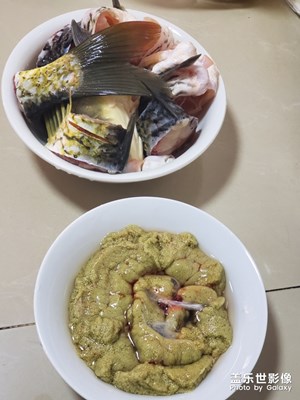 来啊，一起钓鱼哇