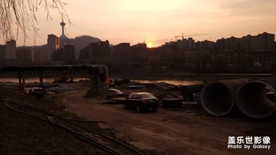 夕阳红