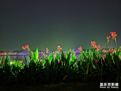 四月 烟雨华阳湖的夜