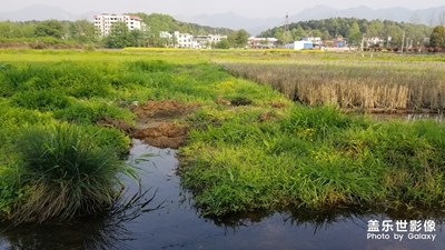 阳光的味道+湖北黄石大冶行