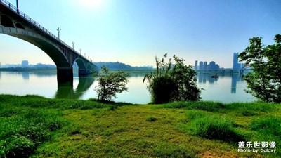 【阳光的味道】+阳光下的滨江公园