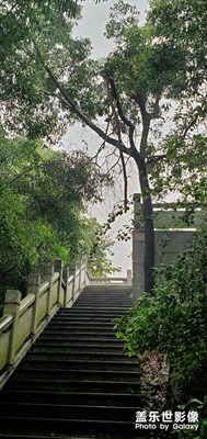 中山阜沙浮虚山
