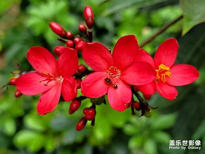 在路上小幸运