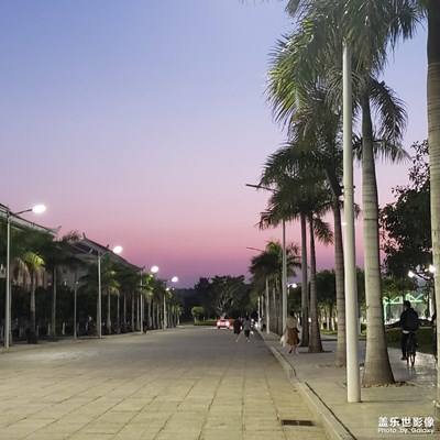 随手拍