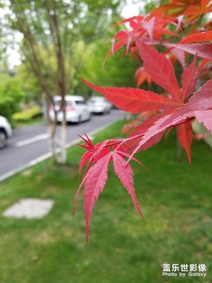 忙里偷闲，出来转一下