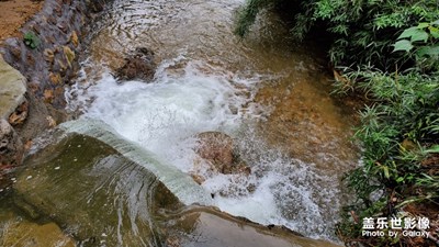 【不负好春光】+ 登山