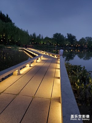 就是没有夏雨荷。