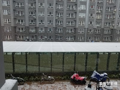 【不负好春光】

+你那里下雪了吗