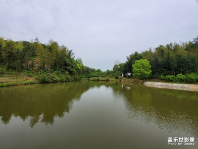 【不负好春光】+眼里的春天