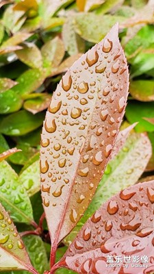 雨天里找乐趣