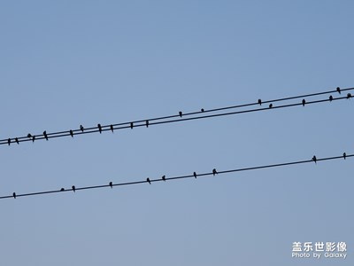 早安