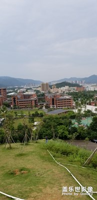 花园式学校