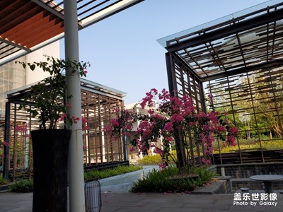 园区景观