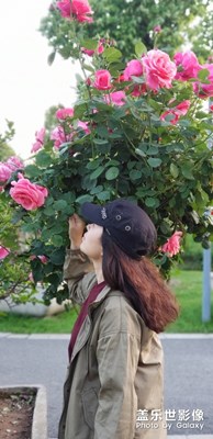 我家月季花！