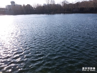 洞林湖游记