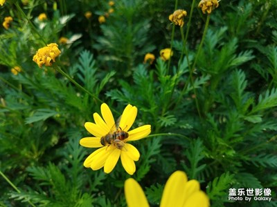 今天是5月12号