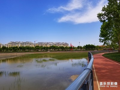 【初夏印象】+公园掠影