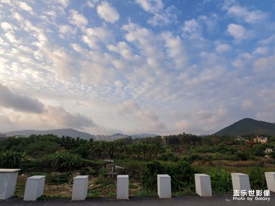 早上好