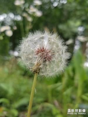 【初夏印象】+渺小不经意的