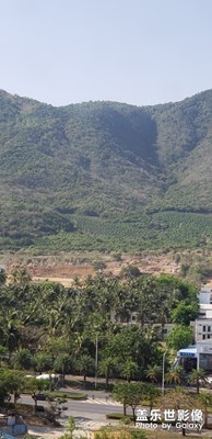 迎宾路中段山景