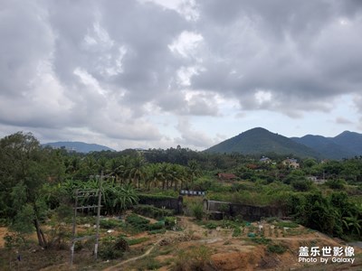 高楼大厦附近的田野