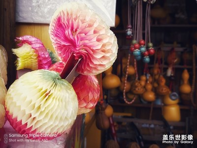 阳光五月