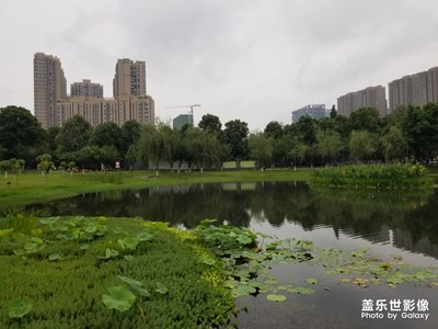 雨后的清早，晨跑路上