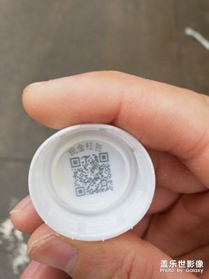 标题没有