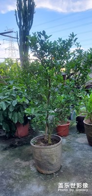 随手一拍