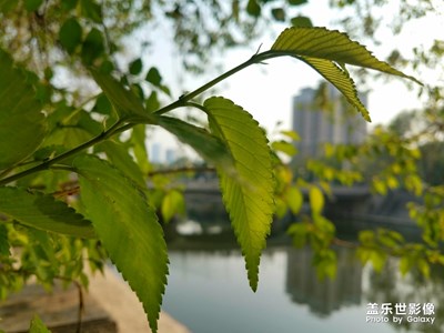 【美丽家园】+经历了很大变化的城市