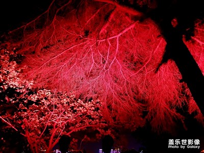 武汉夜景，江景！