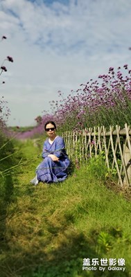 杭州普罗旺斯游记