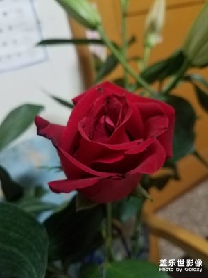 我的父亲节礼物
