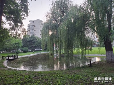园区