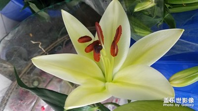 忽然发现的美丽