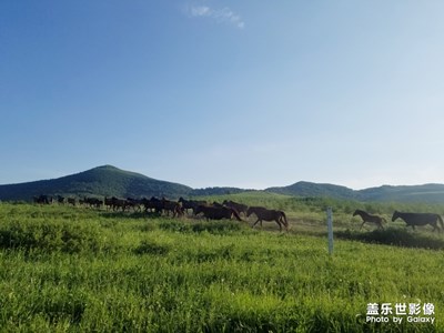 【走进夏天】+草原天路夏日风景画