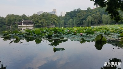 包河 之1