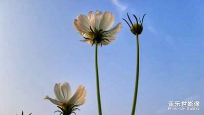 缤纷夏日