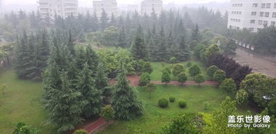下雨天的我的大学