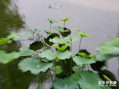 雨后