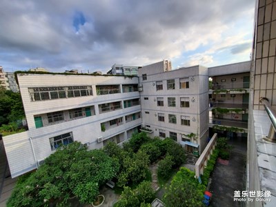 我的小学