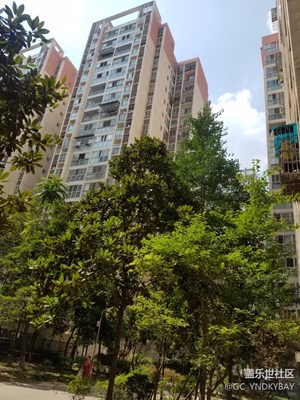 养老中的S7