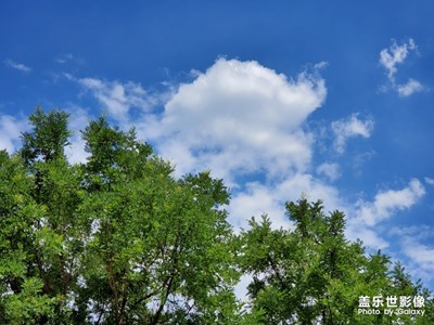 【向往的天空】+骄阳似火