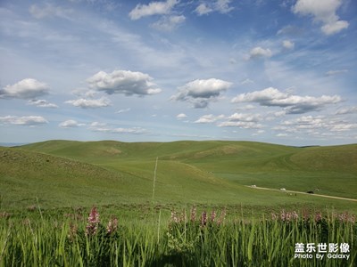 【向往的天空】+草原上的天