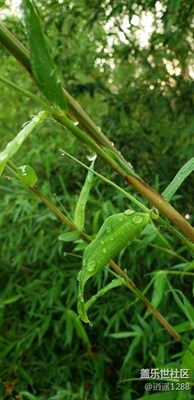 雨后