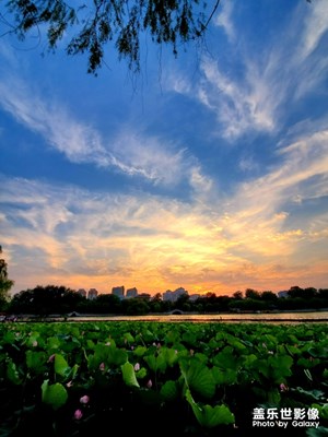 【盛夏光年】如诗般的天空。