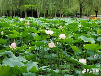 【盛夏光年】+炎热的夏天