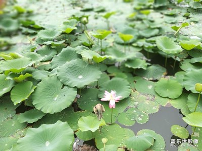 北京旅游最后一天