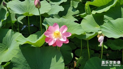 恒山脚下神溪湿地